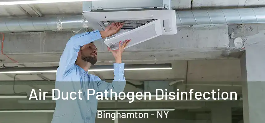  Air Duct Pathogen Disinfection Binghamton - NY
