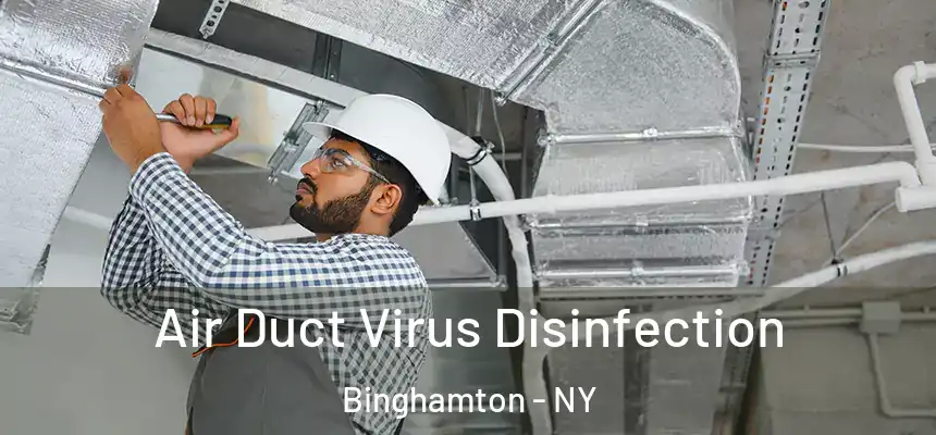  Air Duct Virus Disinfection Binghamton - NY