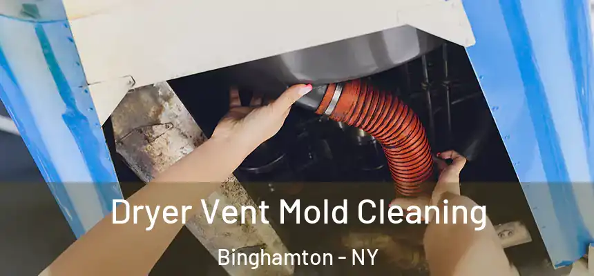 Dryer Vent Mold Cleaning Binghamton - NY