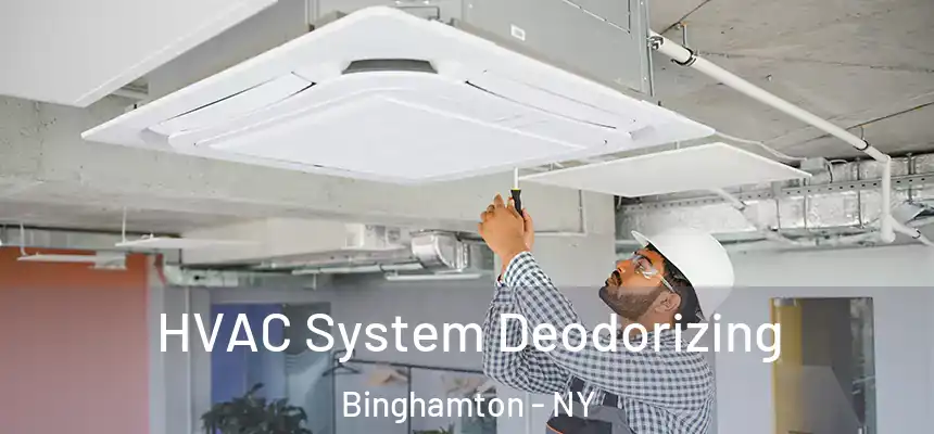 HVAC System Deodorizing Binghamton - NY