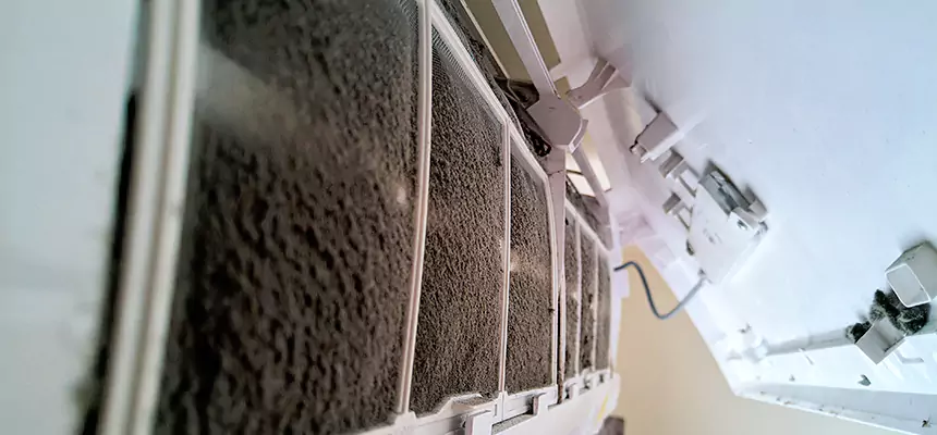 Preventive Air Duct Bacteria Removal in Binghamton