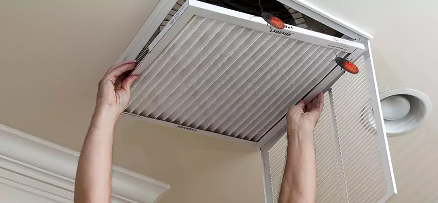 Preventive Cockroach-Proofing for Ducts in Binghamton
