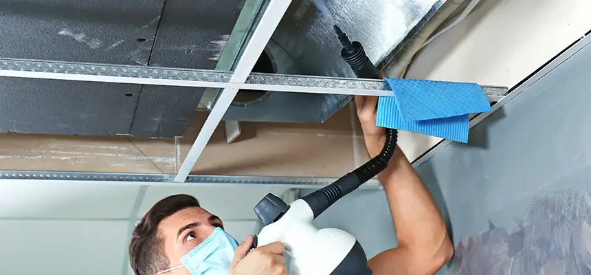 Our Air Duct Rodent Removal Services in Binghamton, NY