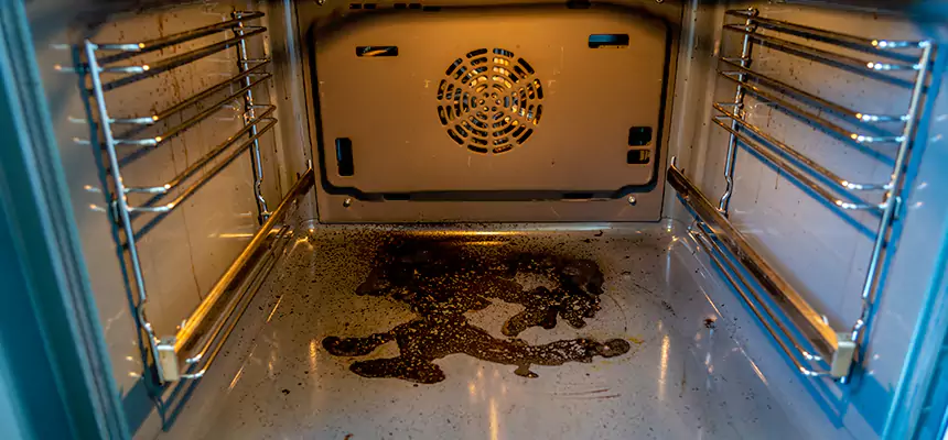 Our Dryer Vent Mold Cleaning Services in Binghamton, NY