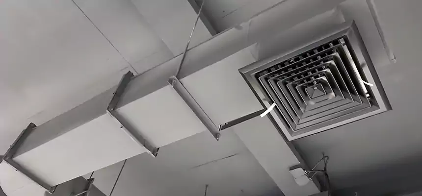 Our Pest Removal From Ducts Services in Binghamton, NY