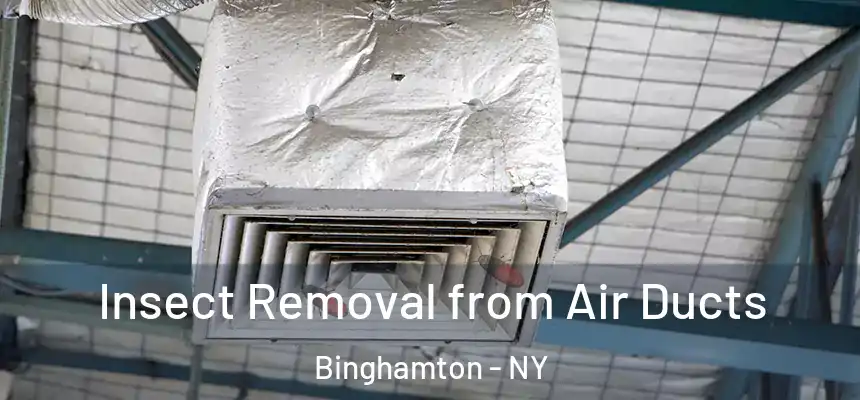  Insect Removal from Air Ducts Binghamton - NY