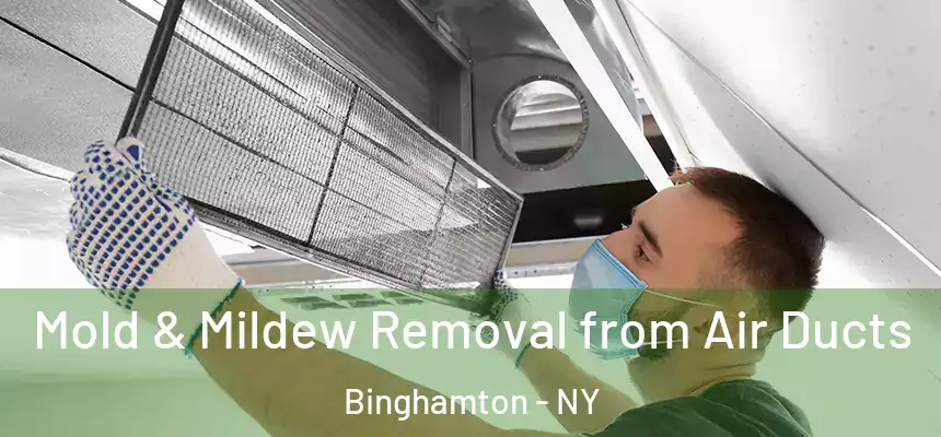  Mold & Mildew Removal from Air Ducts Binghamton - NY