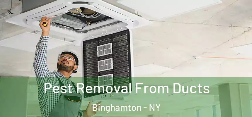  Pest Removal From Ducts Binghamton - NY