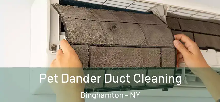 Pet Dander Duct Cleaning Binghamton - NY