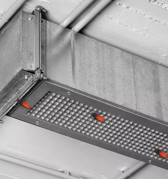 About Air Duct Cockroach Removal in Binghamton, NY