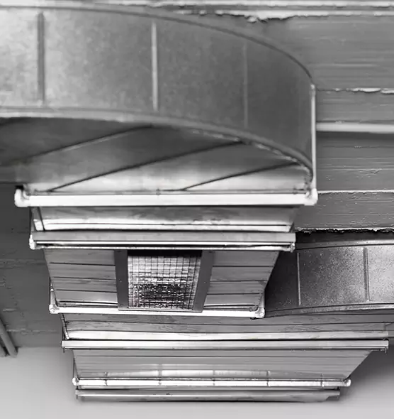 Professional Air Duct Pet Hair Removal in Binghamton, NY