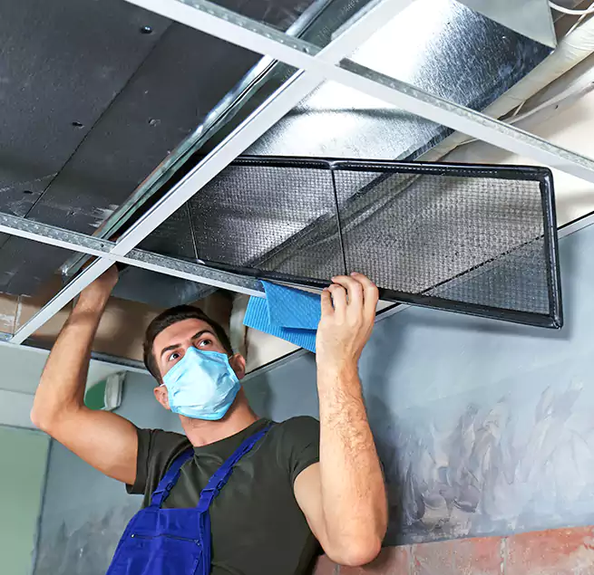 Why Homeowners Businesses Trust Us in Binghamton, NY